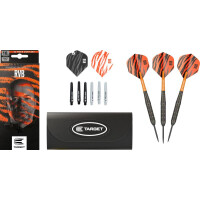 Steel Dartset (3 Stk) Raymond van Barneveld Brass 22g 2023