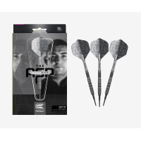 Soft Dartset (3 Stk) ASPINALL 90% x ECHO gallery