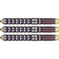 Steel Dartset Luke Littler 23g SP World Champion 2025 Editio