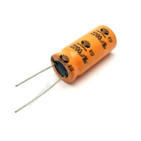 2200 &Acirc;&micro;F/16 Volt Schaltfest