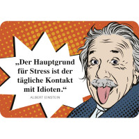 Hänge Blechschild Idioten Einstein gallery