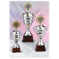 Pokal 3-er Serie &quot;Silver Star&quot;  **