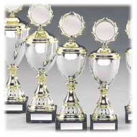 Pokal 9-er Serie "Big Open"  **