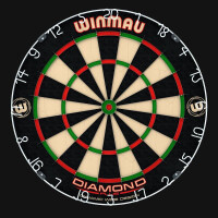 Professional Winmau Dartboard All inklusive Set