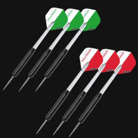Professional Winmau Dartboard All inklusive Set