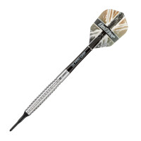 18 g Dartset Darryl Fitton / Pro Player  gallery